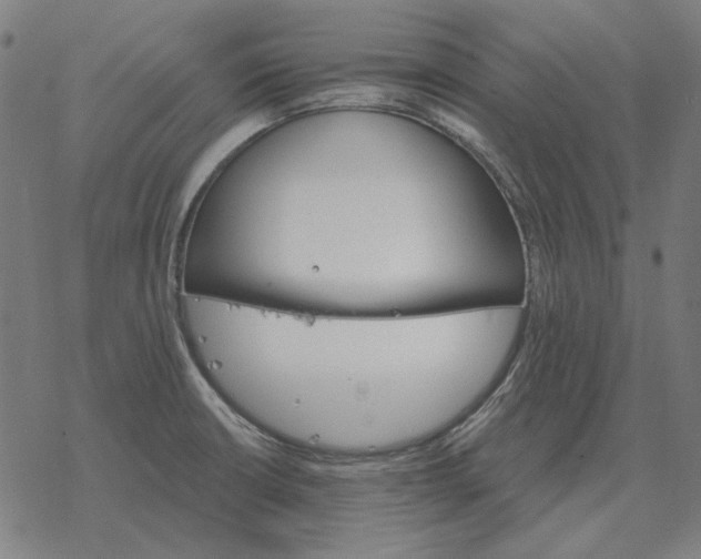 X0000077321426200611101447