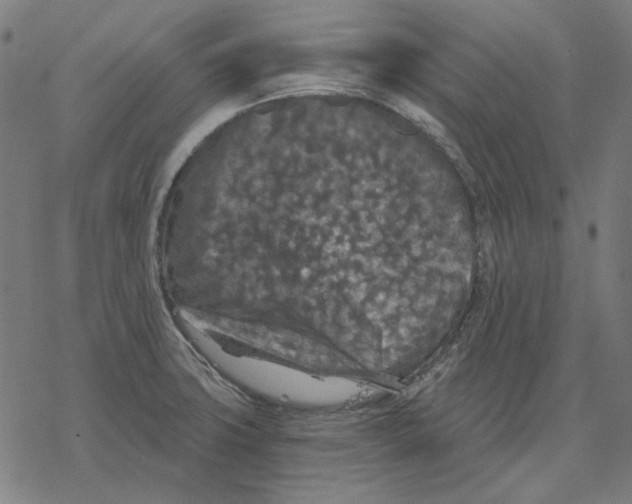 X0000077321427200611101447