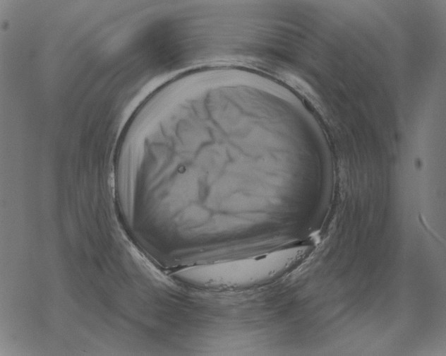 X0000077321428200611101447