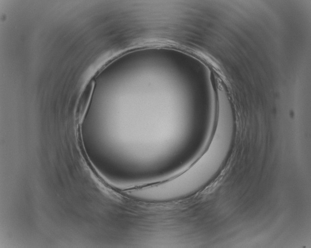 X0000077321430200611101447