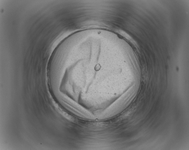 X0000077321431200611101447