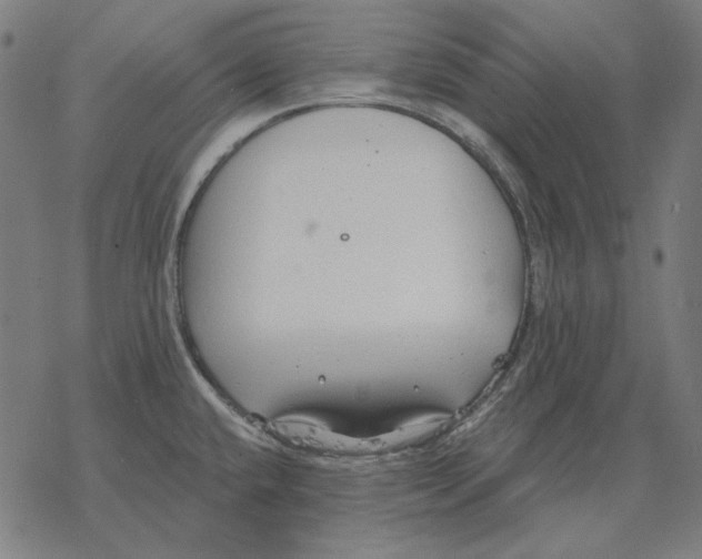 X0000077321432200611101447