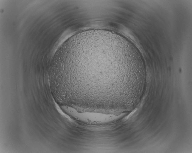 X0000077321433200611101447