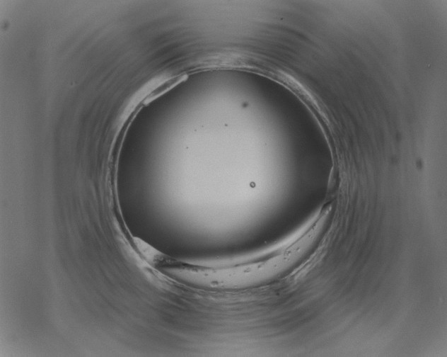 X0000077321434200611101447