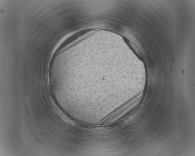 X0000077321436200611101447