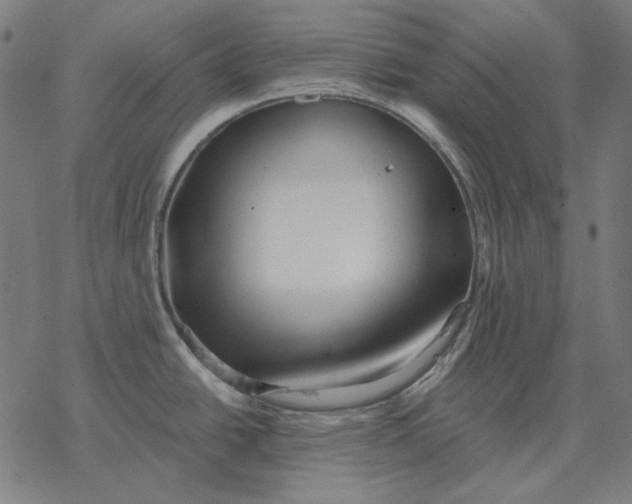 X0000077321438200611101447