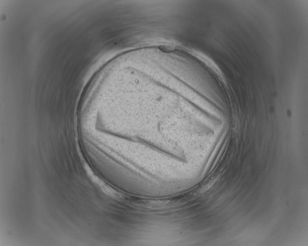 X0000077321439200611101447