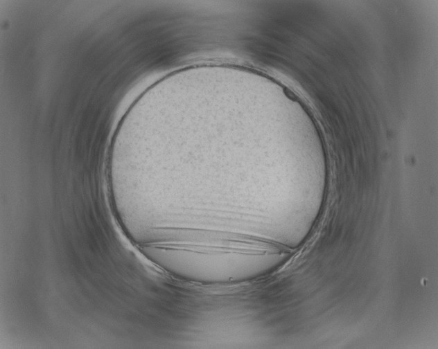 X0000077321440200611101447