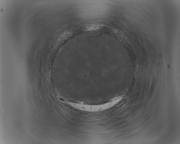 X0000077321441200611101446