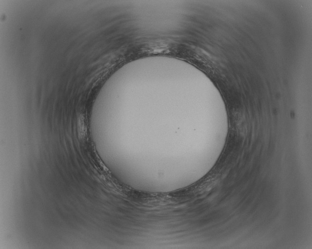 X0000077321442200611101446