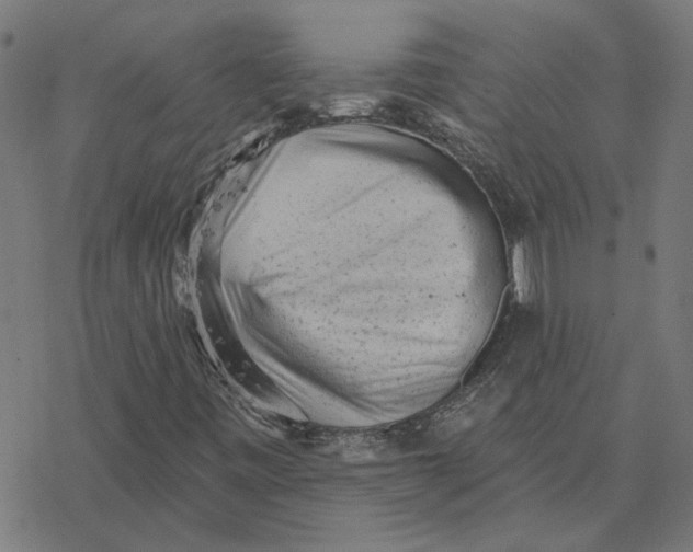 X0000077321443200611101446