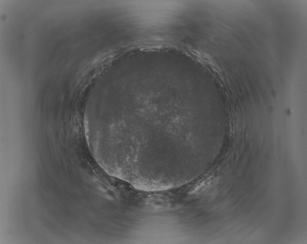 X0000077321445200611101446