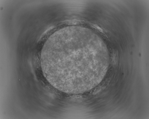 X0000077321446200611101446