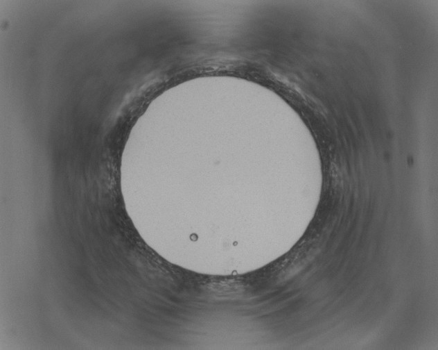 X0000077321447200611101446