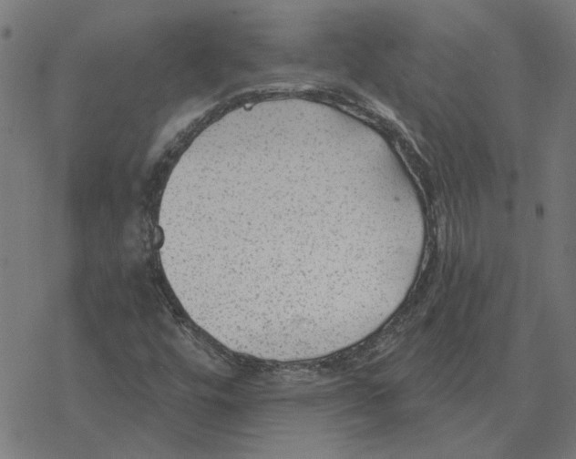 X0000077321448200611101446