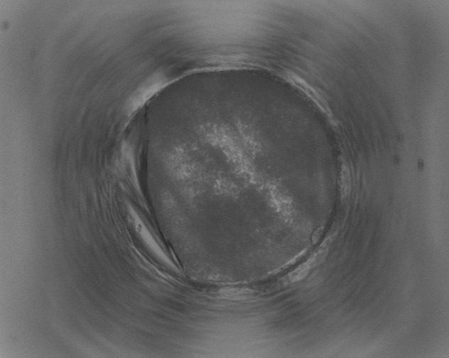 X0000077321449200611101446