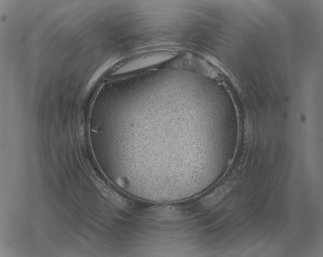 X0000077321450200611101446