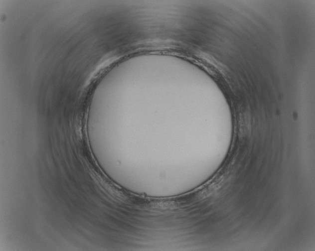 X0000077321451200611101446