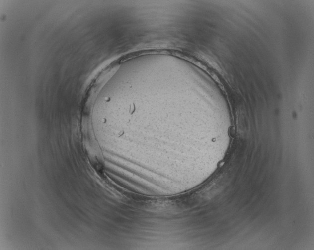 X0000077321452200611101446