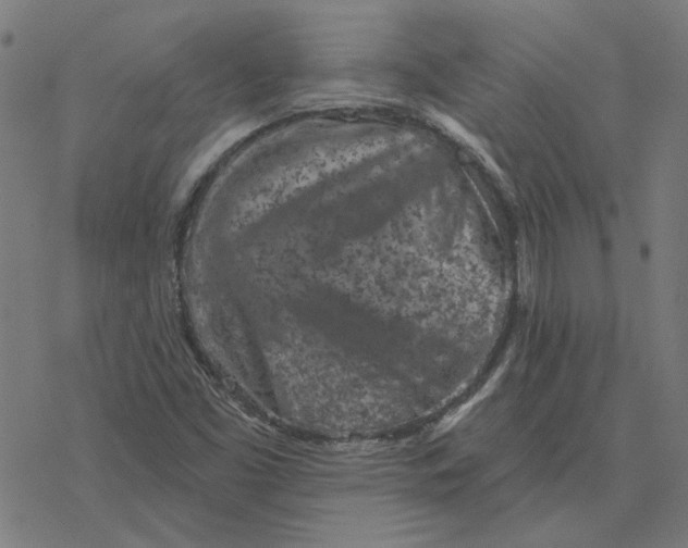 X0000077321453200611101446