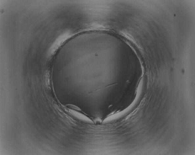 X0000077321455200611101446