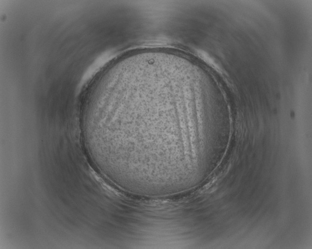 X0000077321456200611101446