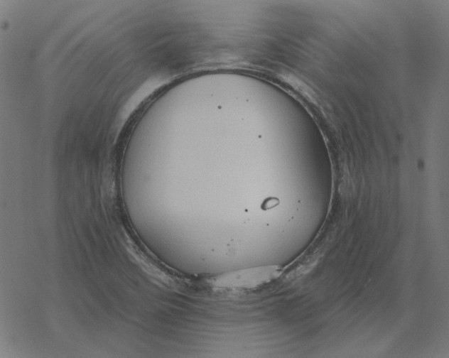 X0000077321458200611101446