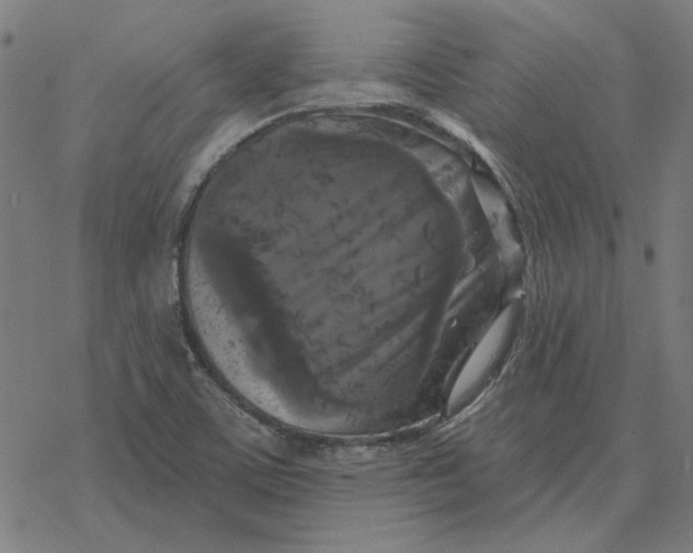 X0000077321459200611101446