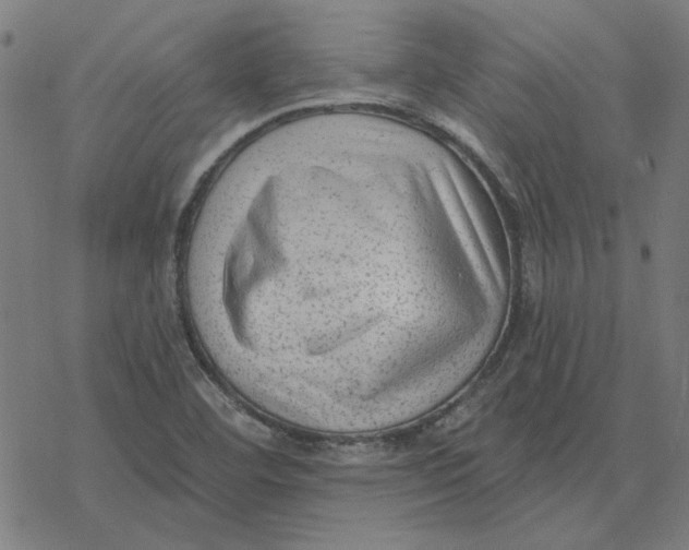 X0000077321460200611101446