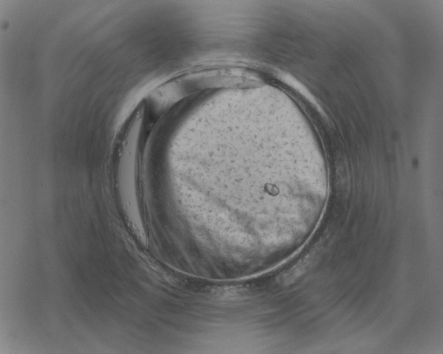 X0000077321461200611101446