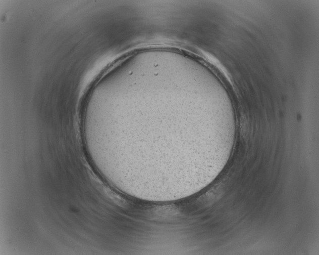 X0000077321464200611101446