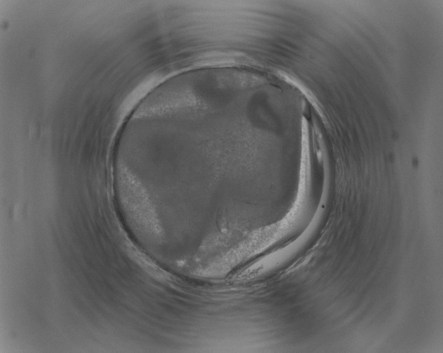 X0000077321467200611101446