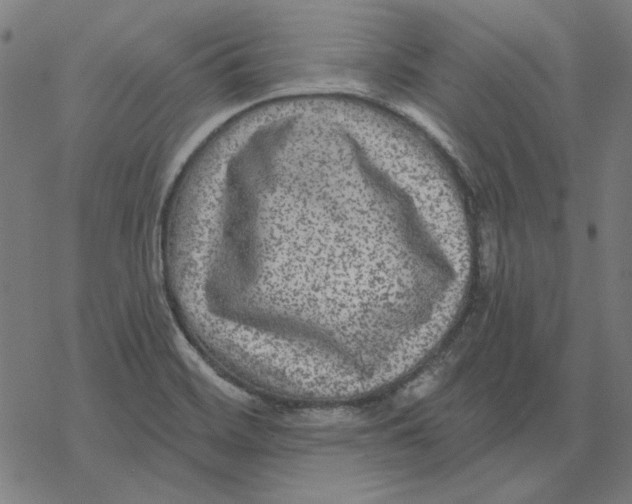 X0000077321468200611101446