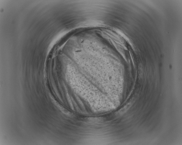 X0000077321469200611101446