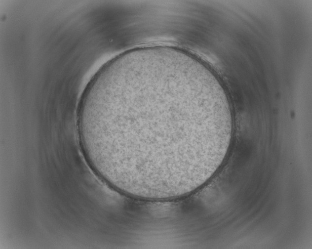 X0000077321470200611101446