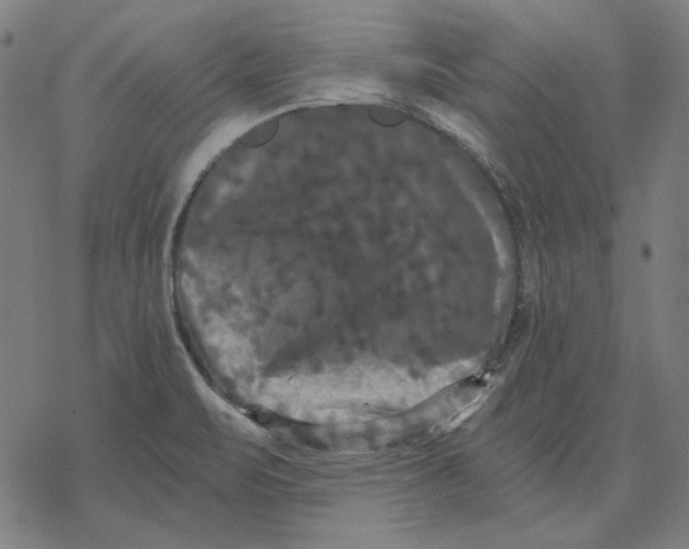 X0000077321471200611101446