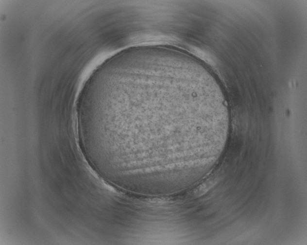 X0000077321472200611101446