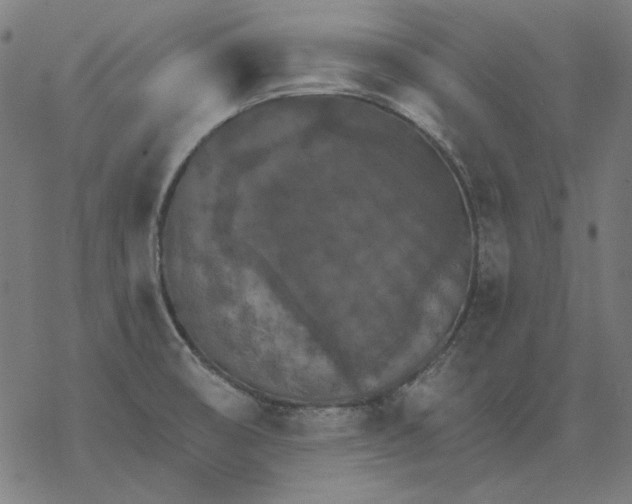 X0000077321474200611101446