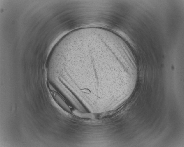 X0000077321476200611101446