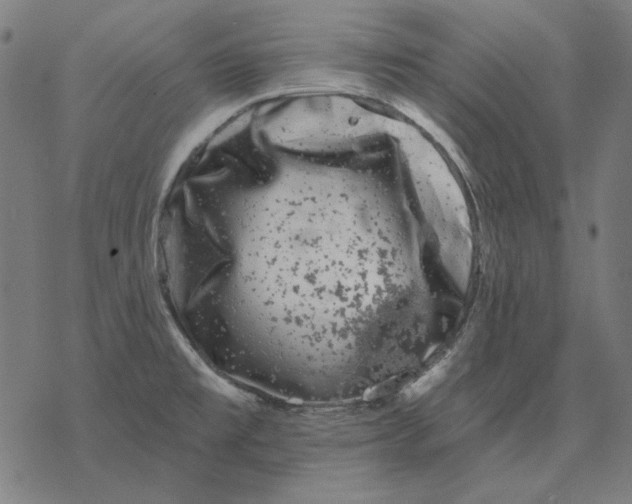 X0000077321477200611101446