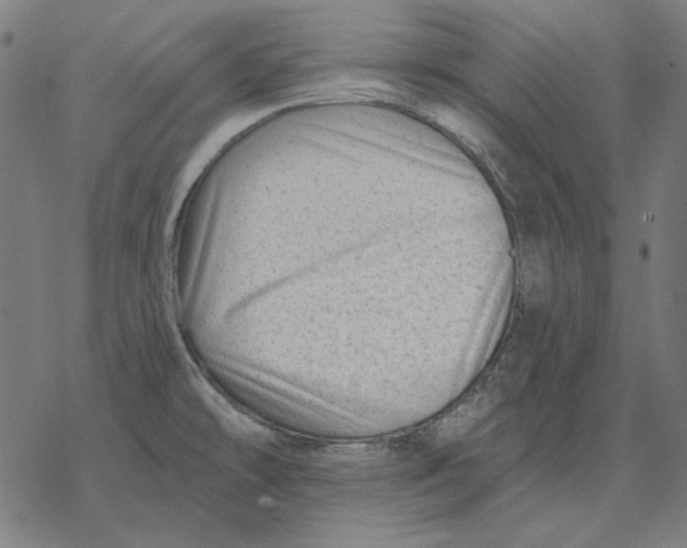 X0000077321478200611101446