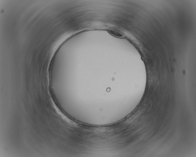 X0000077321479200611101446