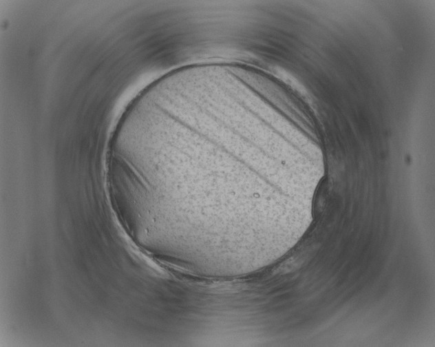 X0000077321480200611101446