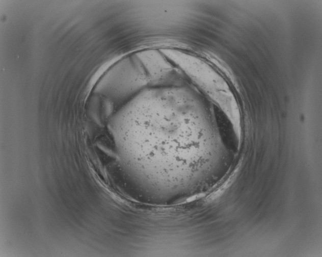 X0000077321481200611101446