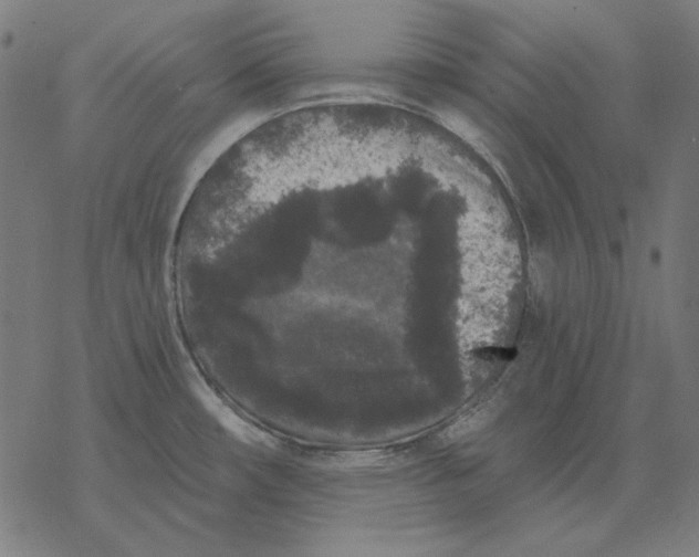 X0000077321482200611101445