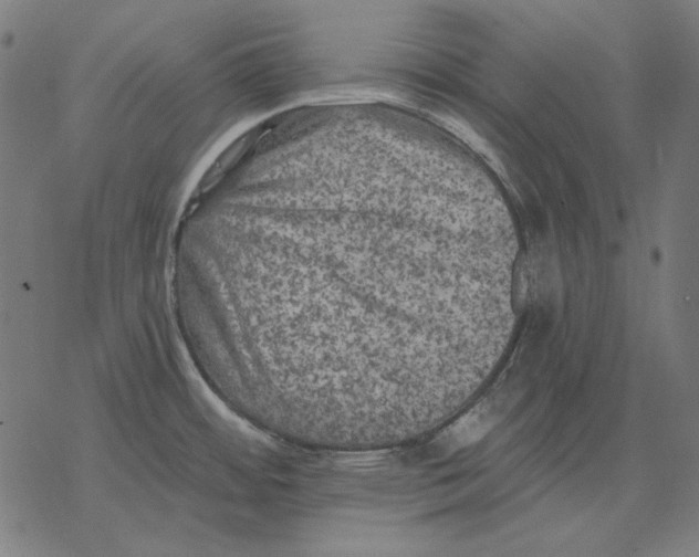 X0000077321484200611101445