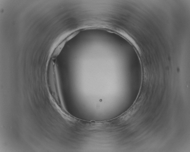 X0000077321485200611101445