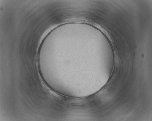 X0000077321486200611101445