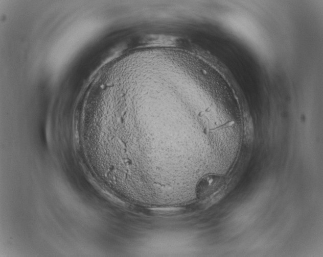 X0000077321487200611101445