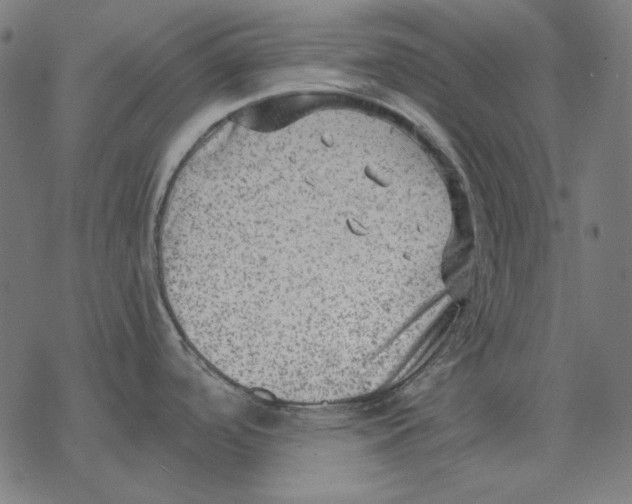 X0000077321488200611101445